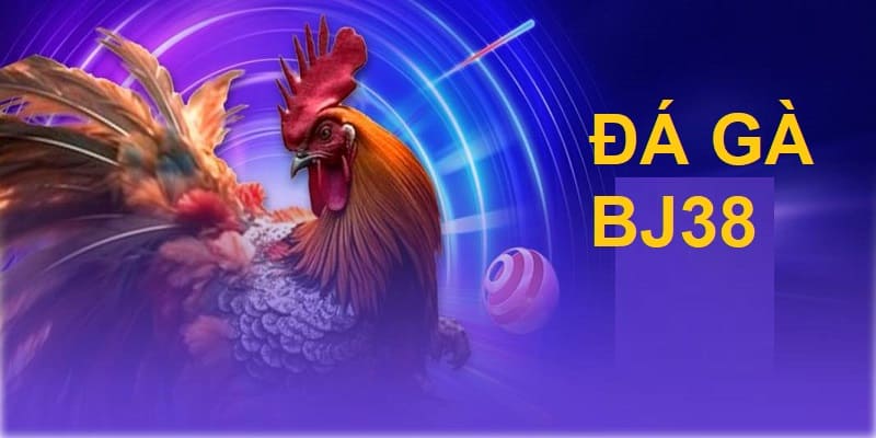 Giới thiệu thông tin về app đá gà BJ38 Giới thiệu thông tin về app đá gà BJ38
