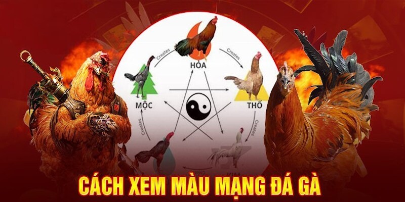 Mỗi ngày trong âm lịch có một phong thủy riêng