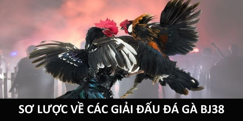 Sơ lược về các giải đấu đá gà BJ38