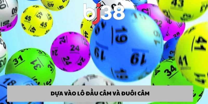 Dựa vào đầu câm và đuôi câm
