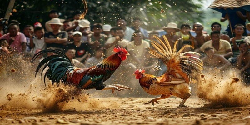 BJ38 là trang web uy tín minh bạch kết quả. 