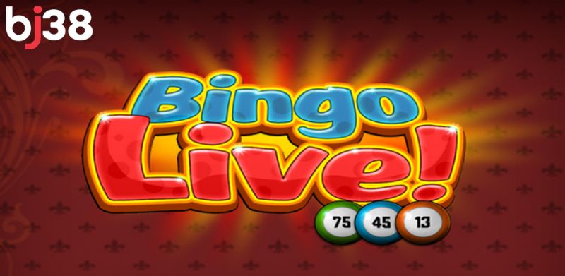 Cách chơi Bingo Live
