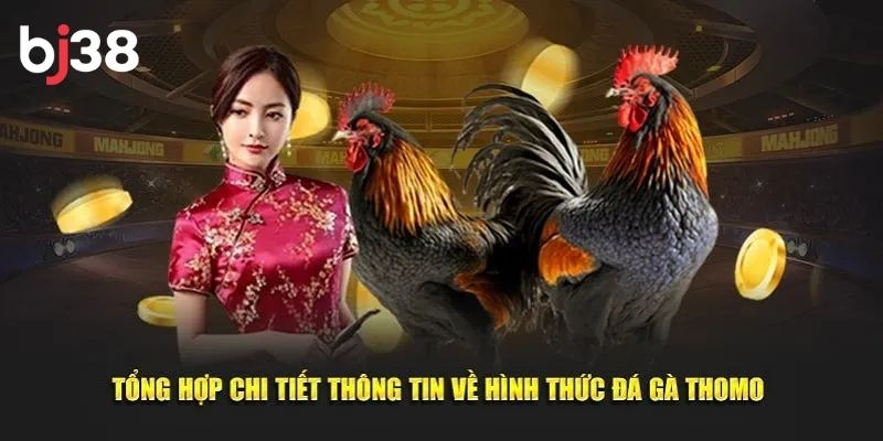 Hình thức đá gà hấp dẫn tại BJ38