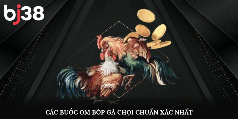 Các bước om bóp gà chọi chuẩn xác nhất
