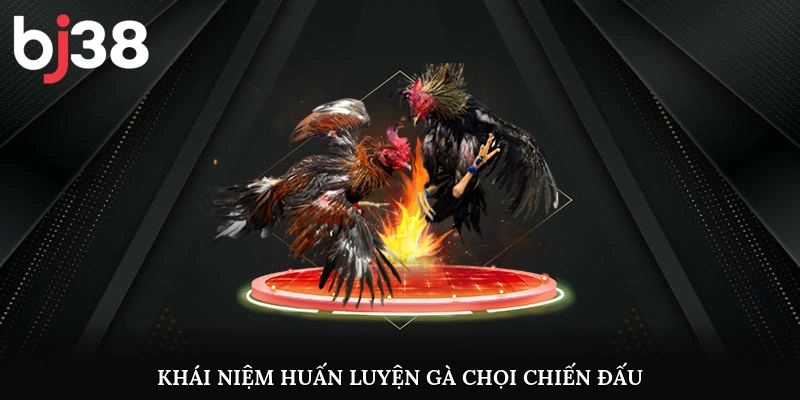 Khái niệm huấn luyện gà chọi chiến đấu
