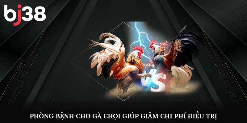 Phòng bệnh cho gà chọi giúp giảm chi phí điều trị