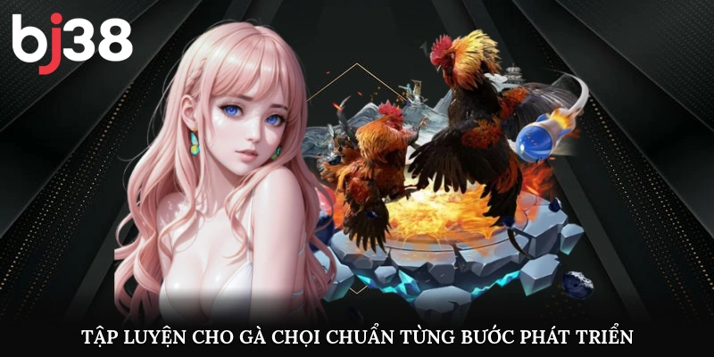Tập luyện cho gà chọi chuẩn từng bước phát triển