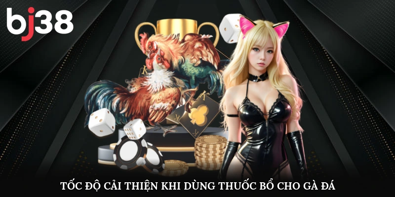 Tốc độ cải thiện khi dùng thuốc bổ cho gà đá