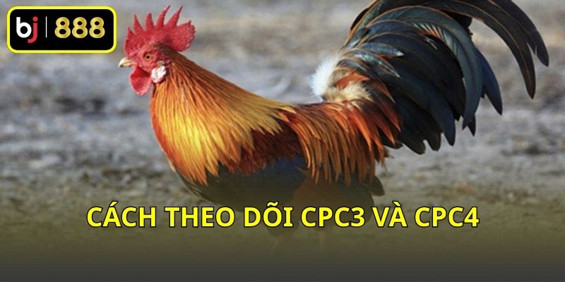 Cách theo dõi CPC3 và CPC4